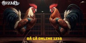 Đá gà online 123B